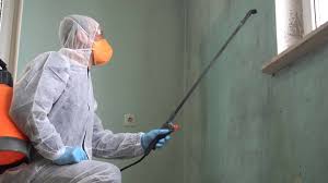 Why You Should Choose Our Mold Remediation Services in Lake Ripley, WI