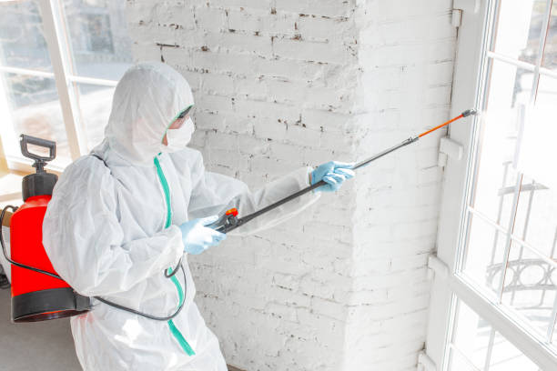 Best Forensic Mold Investigation  in Lake Ripley, WI